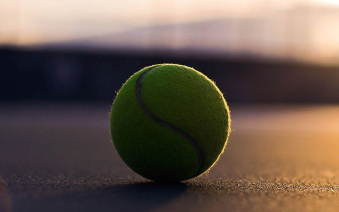 3 sites de statistiques pour parier sur le tennis
