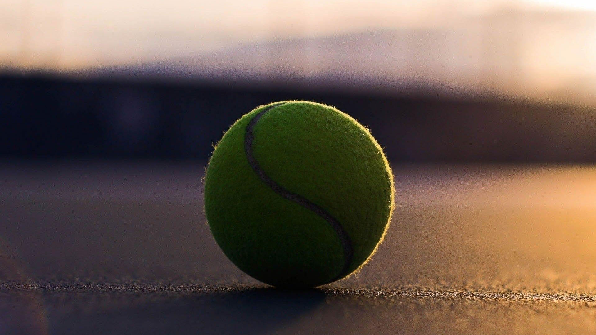 statistiques rencontres tennis